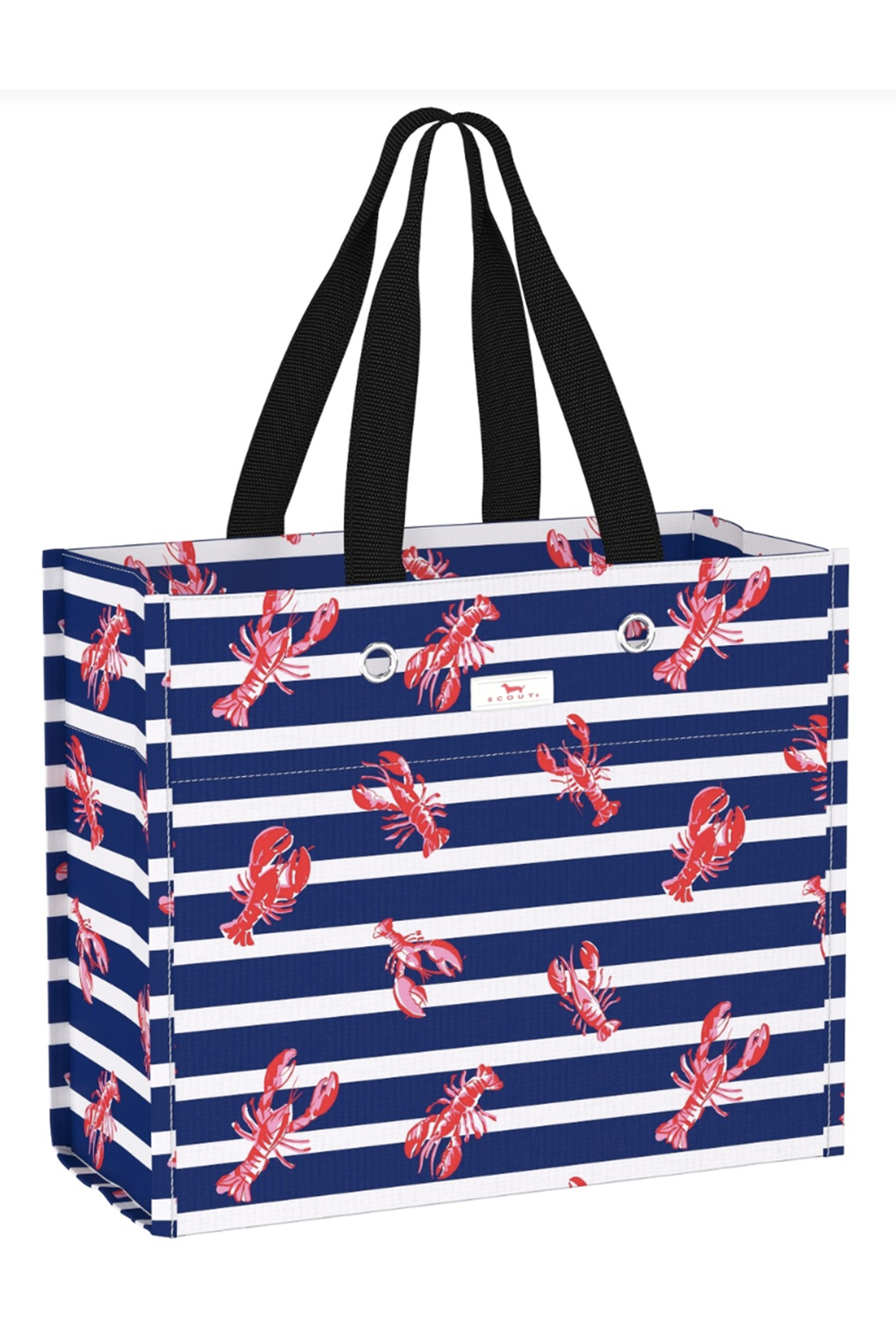Large Package Gift Bag - "Catch of the Day" SUM24