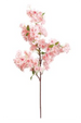 Botanical Beauty Floral Stem - Cherry Blossom