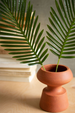 Botanical Palm Frond Bundle