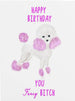 Rebecca Single Birthday Greeting Card - Fancy B