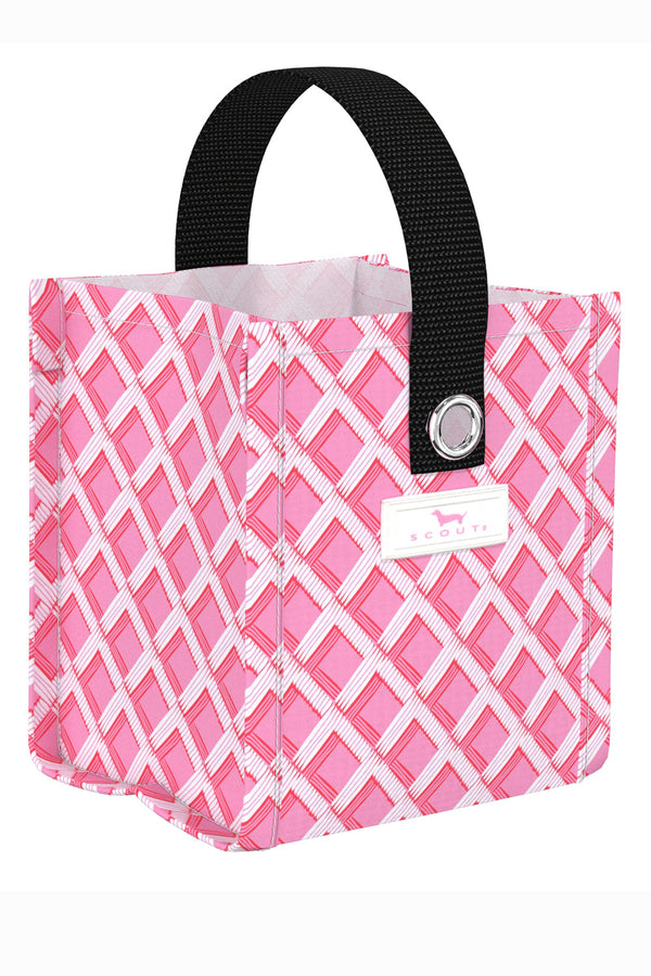 Mini Mini Package Gift Bag - "Garden Gate" SP26