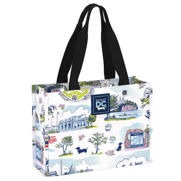 Tiny Package Gift Bag - "Washington, DC" Statement!