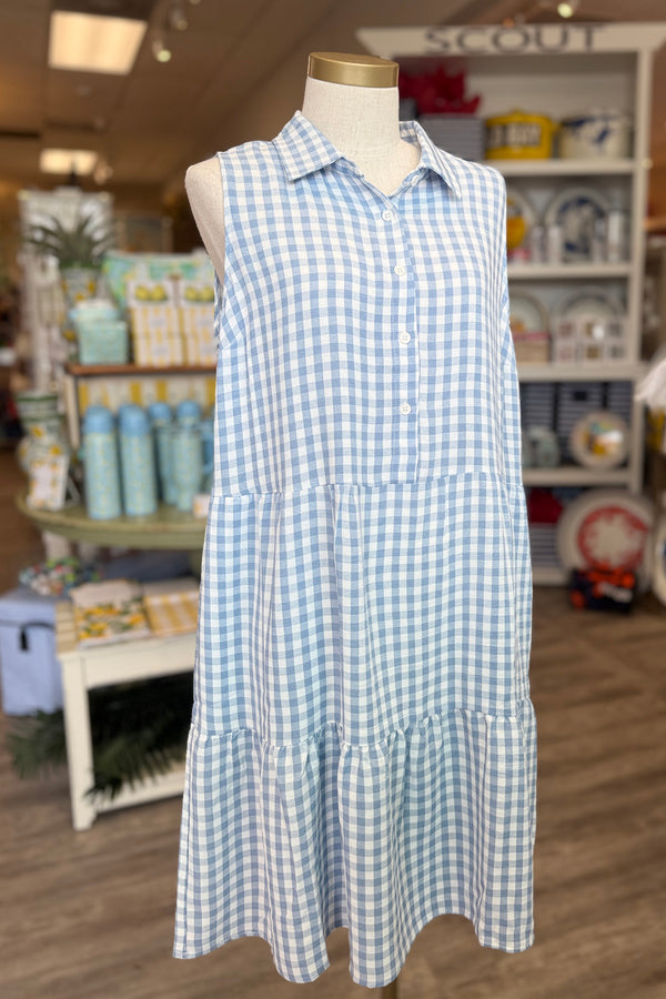 Camille Gingham Dress - Blue & White