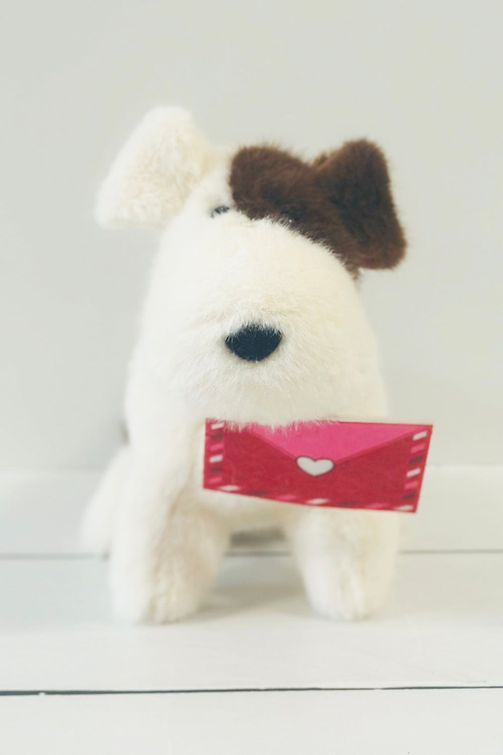 DG Toy - Tammy Dog Muzzle with Valentine