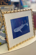 Framed Whale Shark Print - Gold Frame