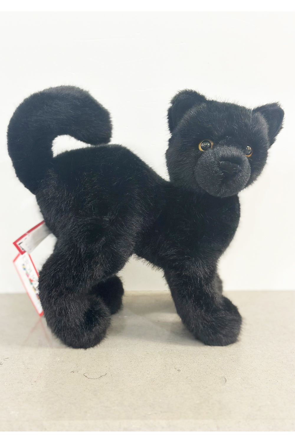 DG Scaredy Black Cat