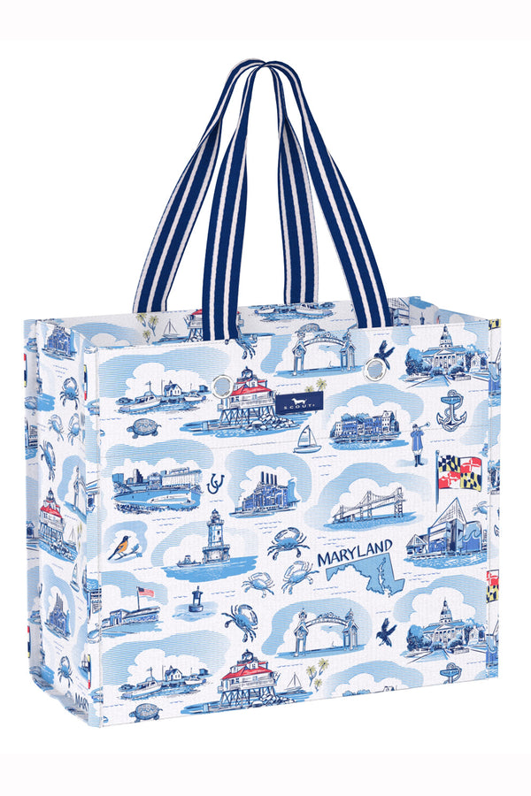 Large Package Gift Bag - Maryland Toile