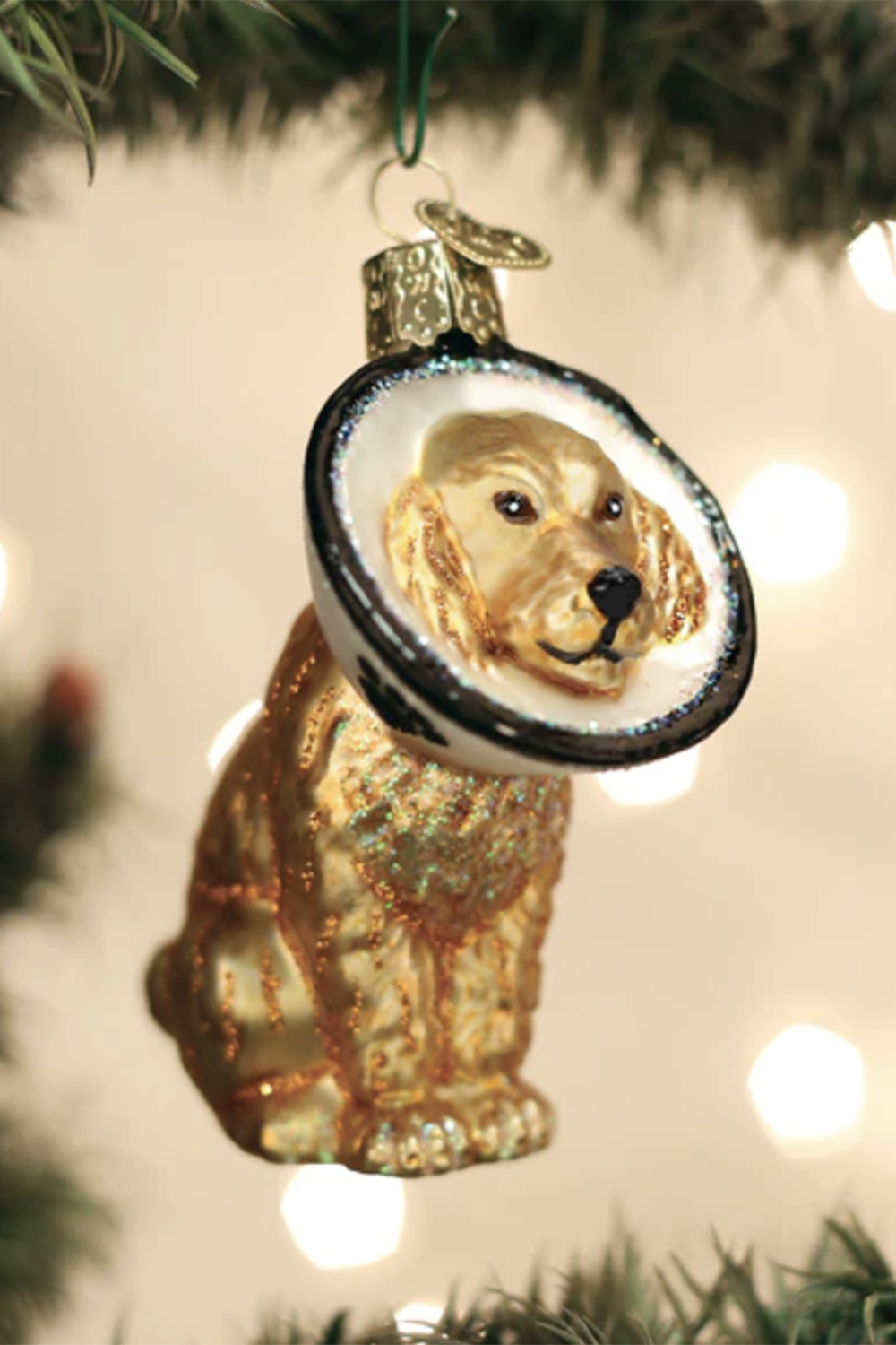 Glass Ornament - Cone of Shame Dog