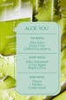 Power Mist Sanitizer - Aloe You