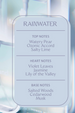 Power Mist Sanitizer - Rainwater