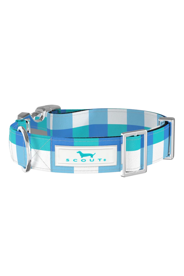 SCOUT Dog Collar - "Friend of Dorothy" SP24