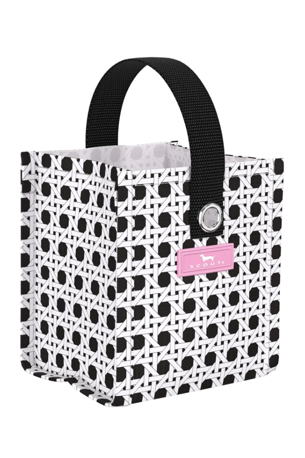 Mini Mini Package Gift Bag - "Cane Fonda" SP24