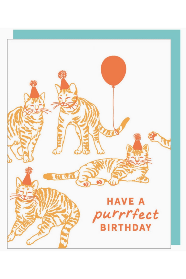 Smudgey Greeting Card - Birthday Cat Party
