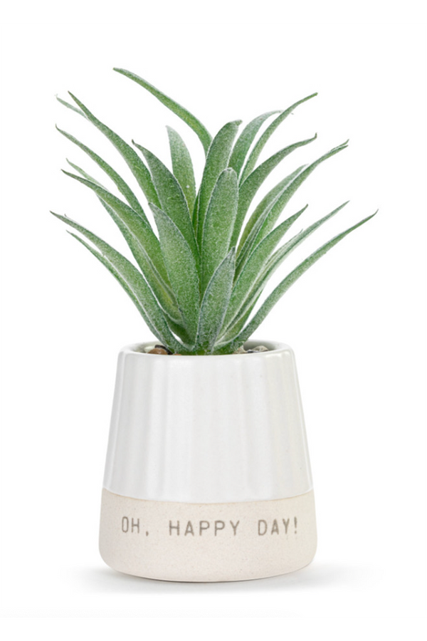 Mini Succulent - Happy Day