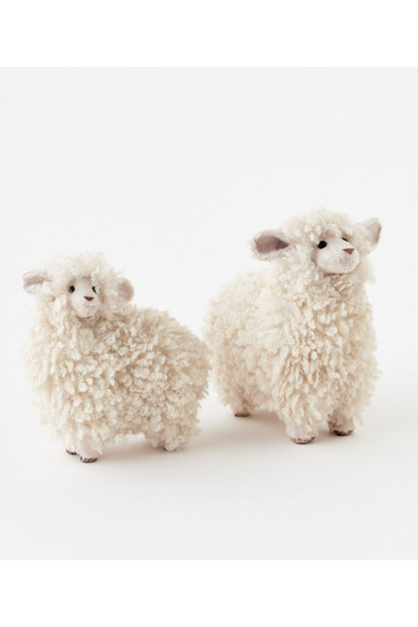 Wonderful Wooly Sheep