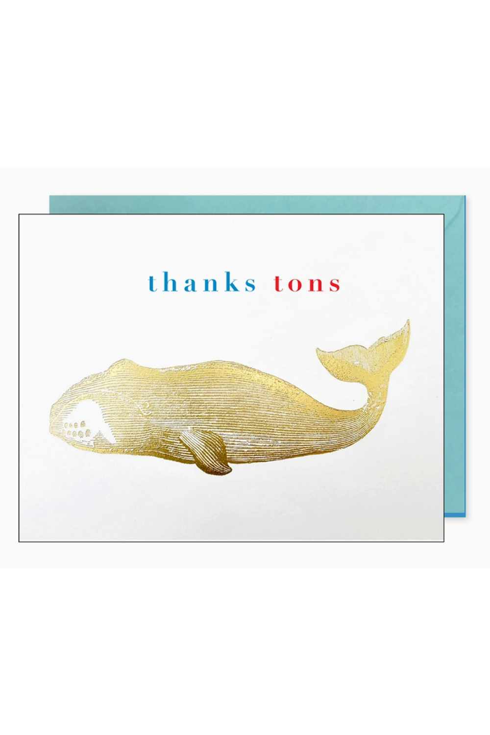 JF Thank You Boxed Card Set - Whale