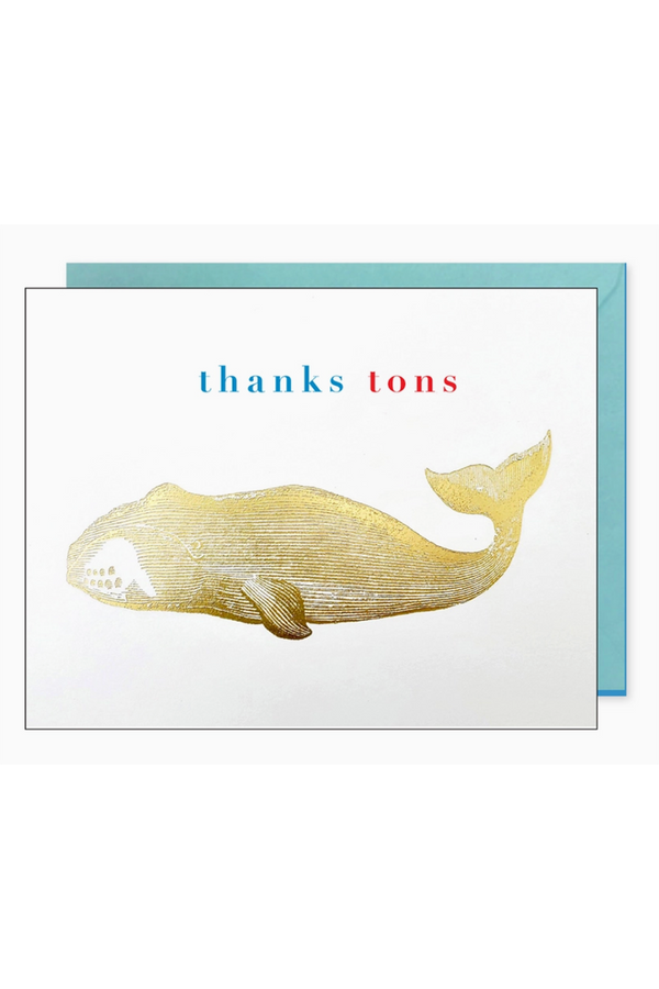 JF Thank You Boxed Card Set - Whale