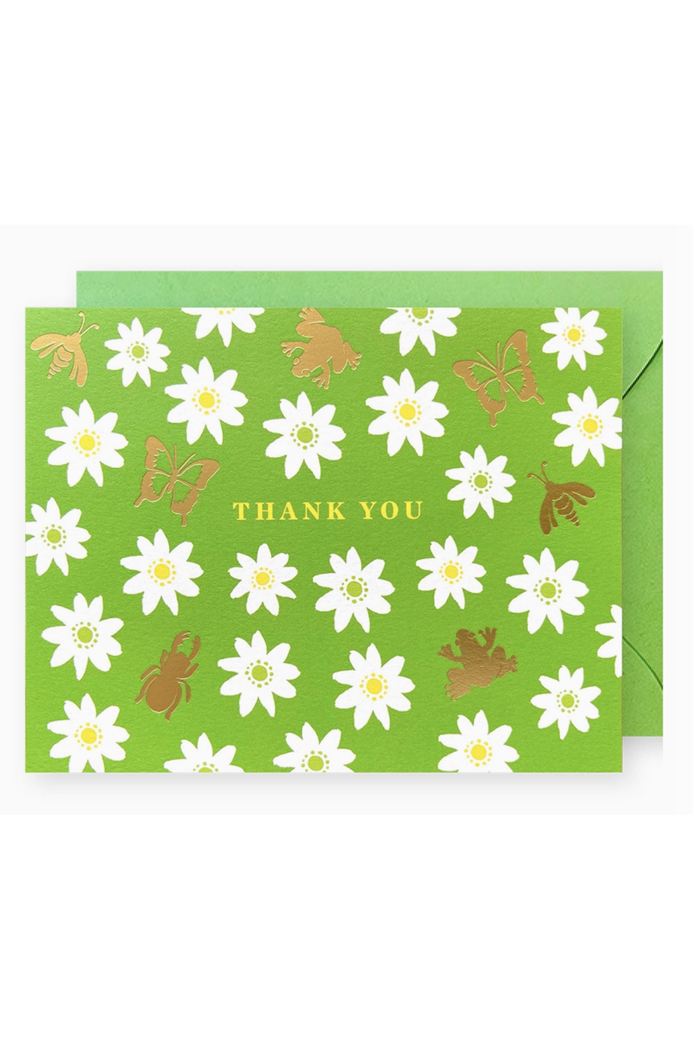 JF Thank You Boxed Card Set - Verdant Lawn