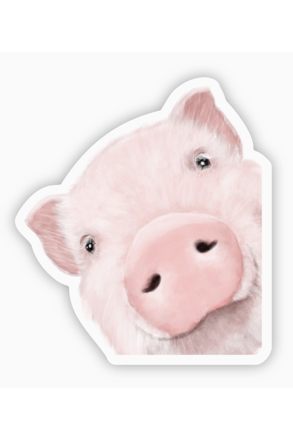 Trendy Sticker - Peeking Pig