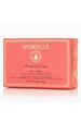 Spongelle Pedi Buffer - Grapefruit Cassis