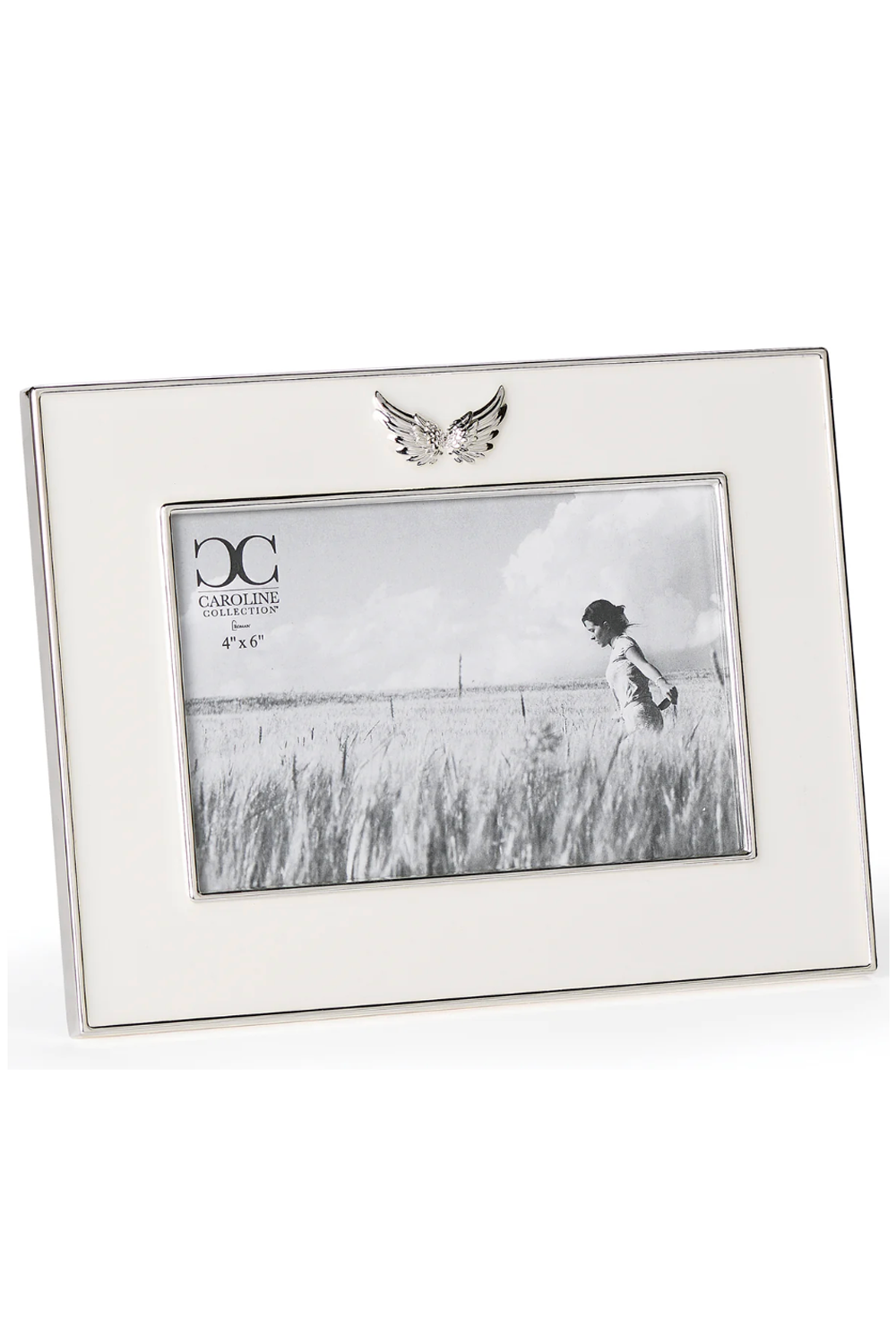 RM Angel Wing Frame