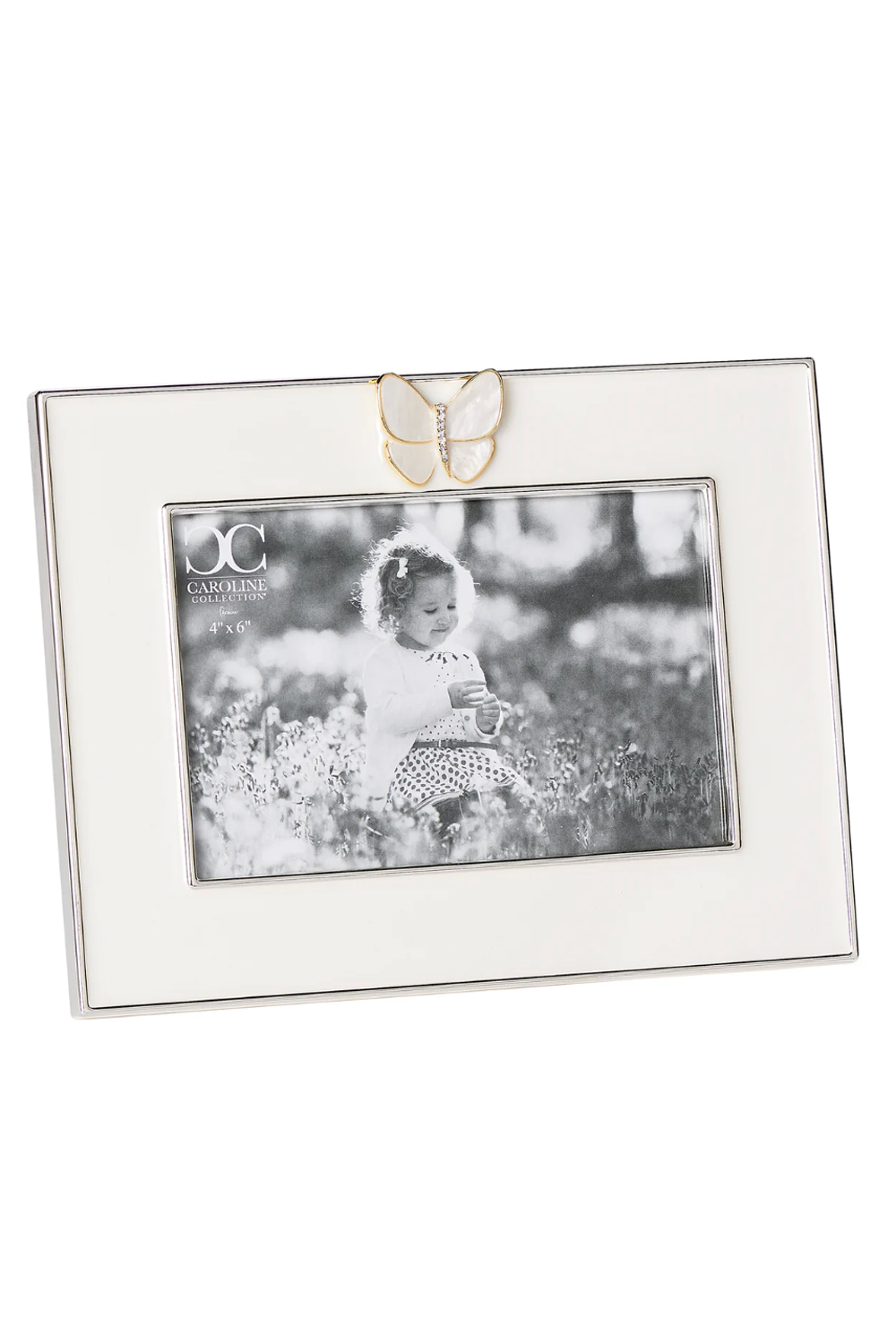 RM Butterfly Frame