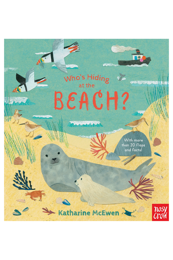 Who's Hiding at the Beach? Book