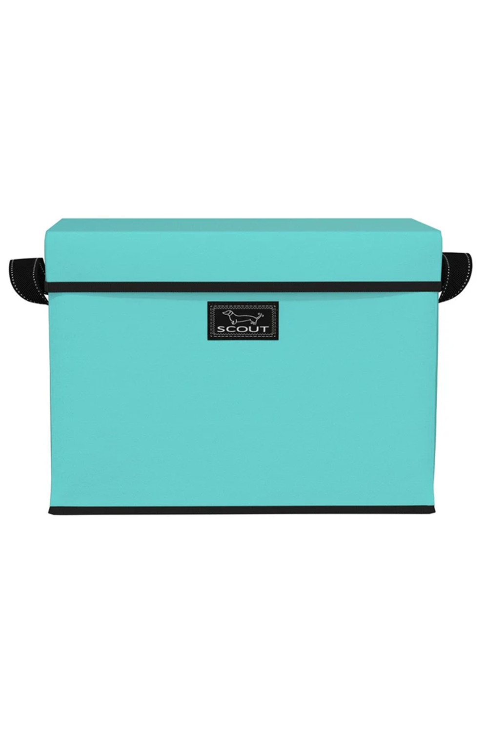 Rump Roost Lidded Storage Bin - "Seafoam"