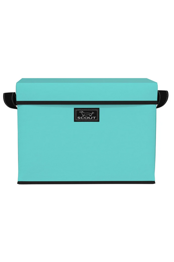 Rump Roost Lidded Storage Bin - "Seafoam"