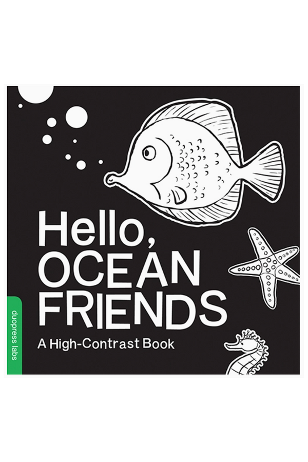 Hello, Ocean Friends Book