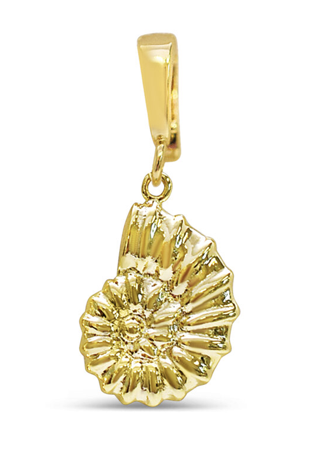 Charm - Curly Snail Shell Gold