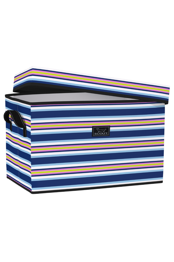 Rump Roost Lidded Storage Bin - "Fall in Line" F25