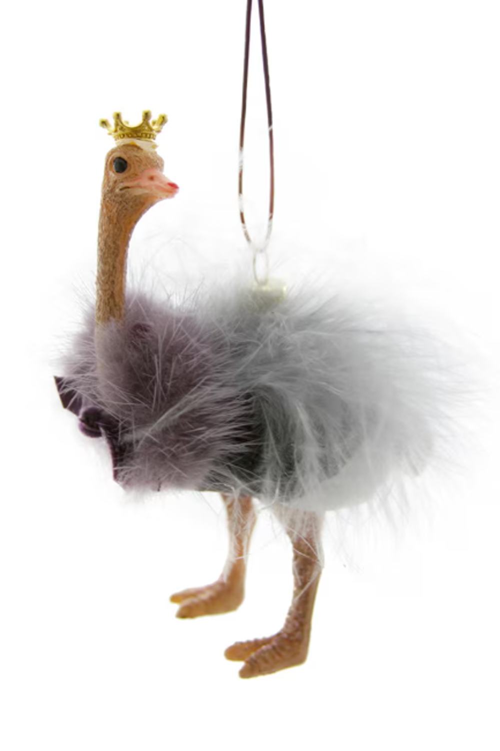 Funky Ornament - Crowned Ostrich