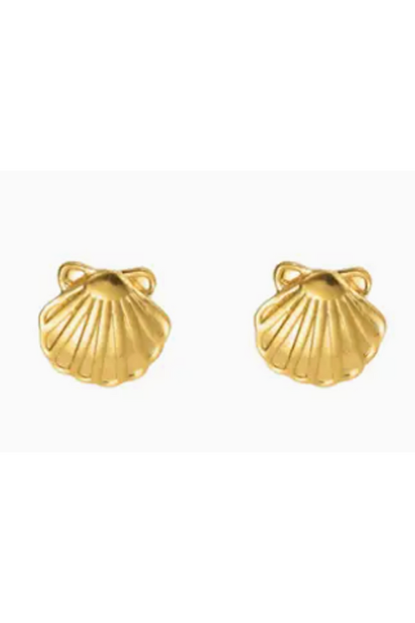FH Earring -  Seashell Stud