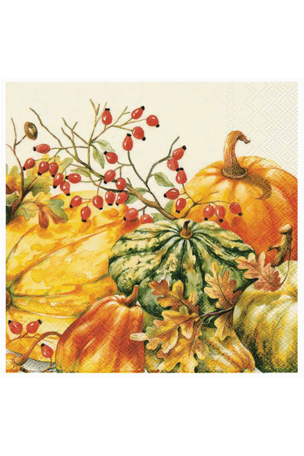 Cocktail Napkin Pack - Calabaza Pumpkin