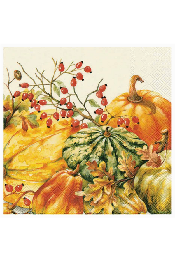 Cocktail Napkin Pack - Calabaza Pumpkin