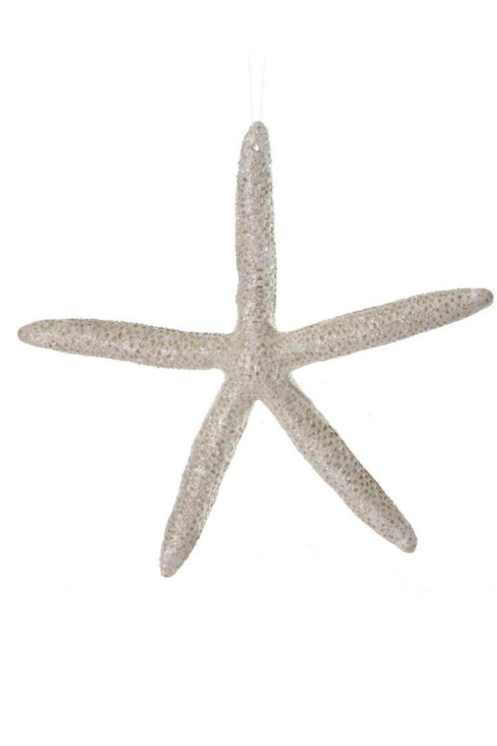 Funky Ornament - Frosted Leggy Starfish