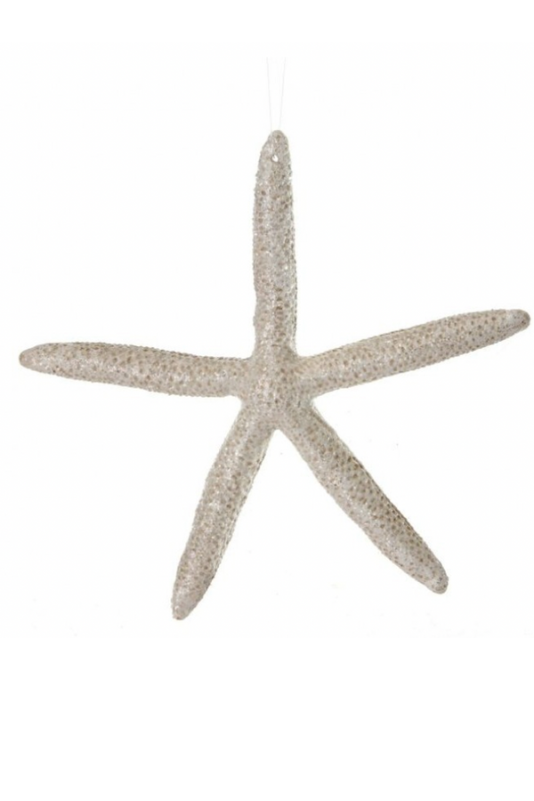 Funky Ornament - Frosted Leggy Starfish