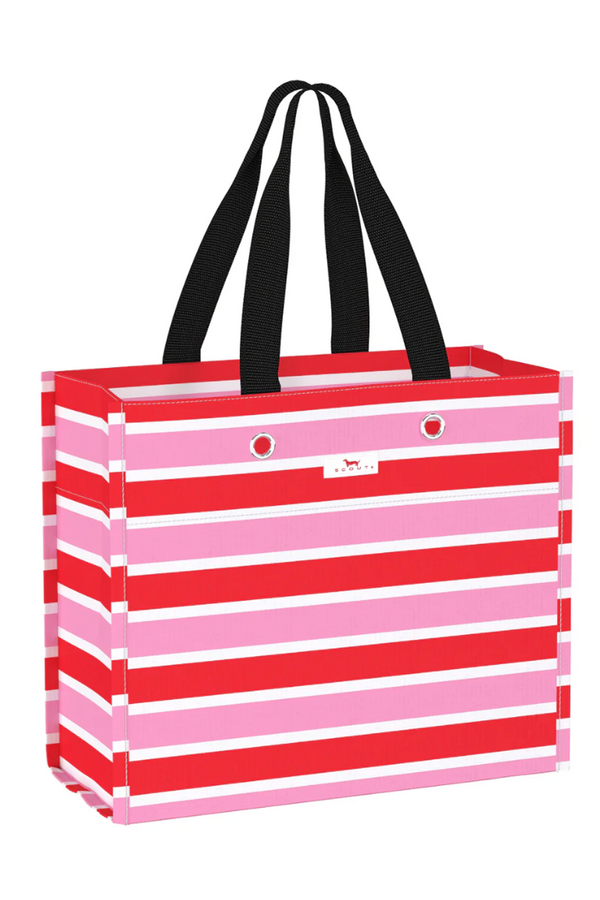 Large Package Gift Bag - "Candy Striper" H25