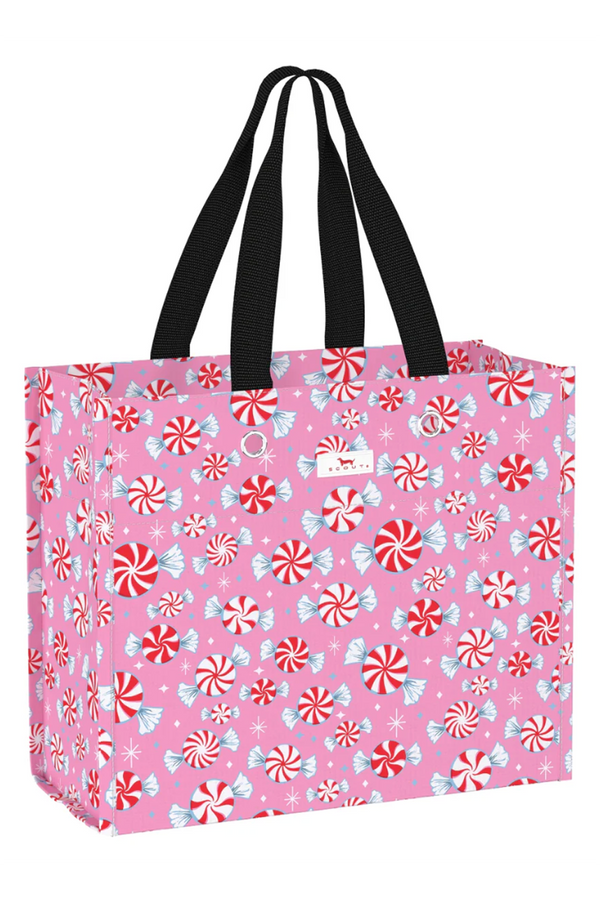 Large Package Gift Bag - "Candyland" H25