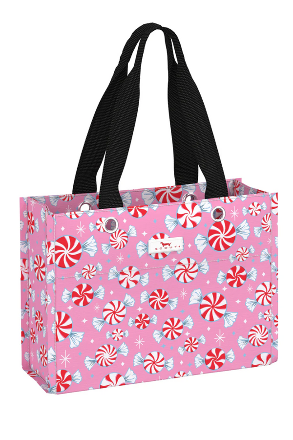 Tiny Package Gift Bag - "Candyland" H25