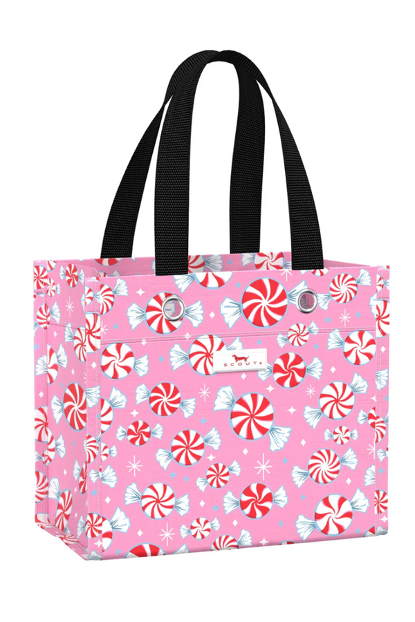 Six Packer Gift Bag - "Candyland" H25