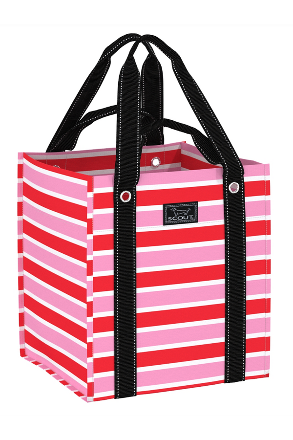 Bagette Grocery Bag - "Candy Striper" H25