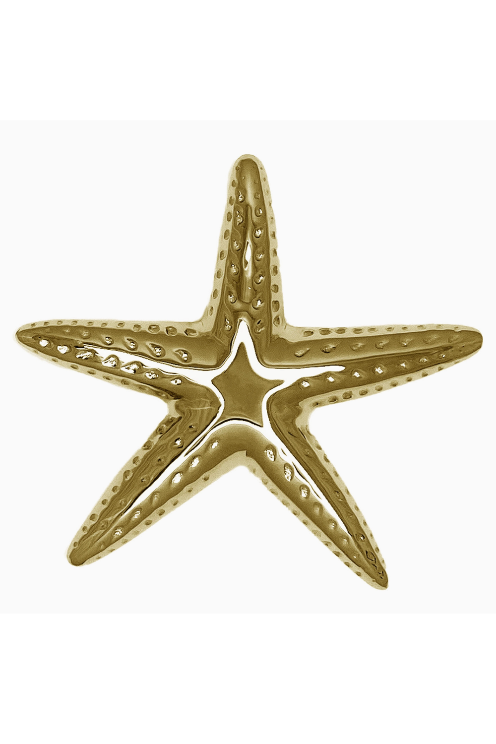 Door Knocker - Starfish Brass