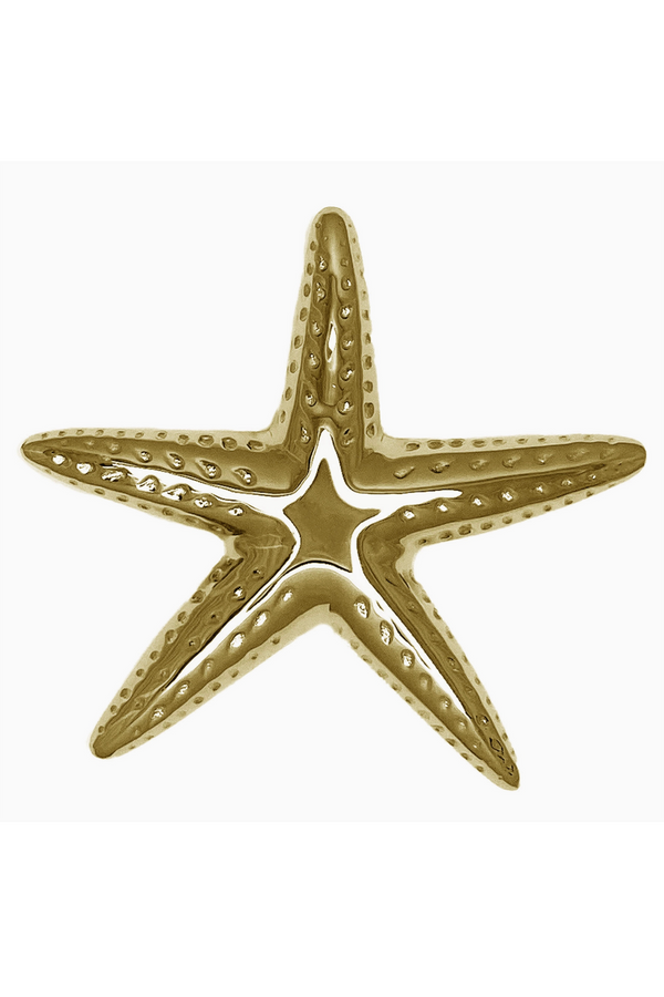 Door Knocker - Starfish Brass