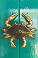Door Knocker - Crab Brass