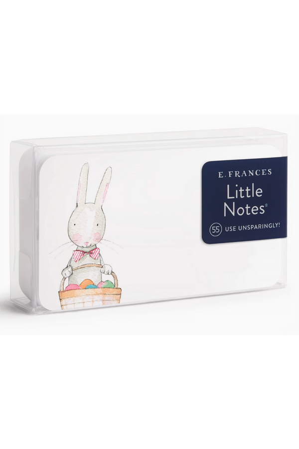 EFRAN 55 COUNT Little Notes - Easter Bunny