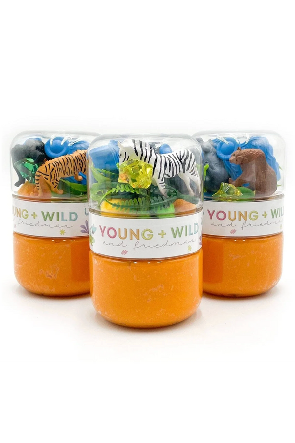 Grab & Go Dough Jar - Zoo