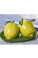 Lemon on Tray Salt & Pepper Shakers