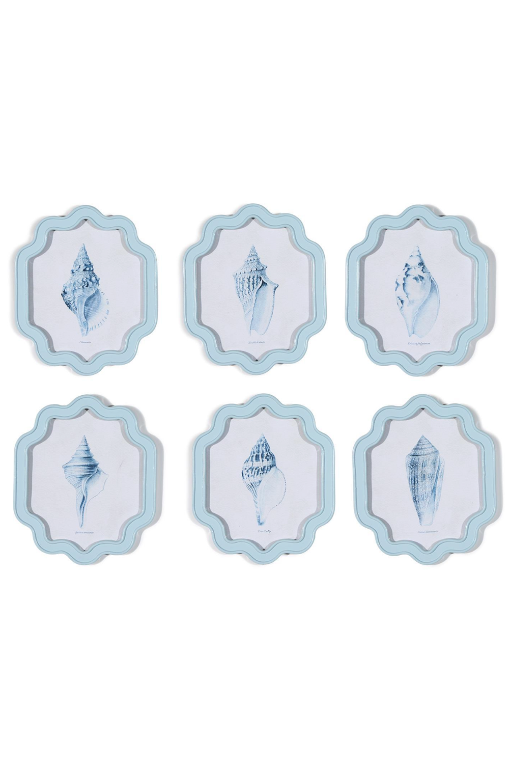 Shell Wall Art - Light Blue